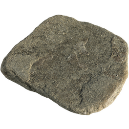 Trittplatte, ØxH: 25-40 x 2,5-3,5 cm, Quarzit, graugrün Trittplatte, ØxH: 25-40 x 2,5-3,5 cm, Quarzit, graugrün