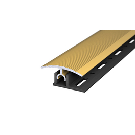 Übergangsprofil »PROFI-TEC Master«, BxL: 34 x 900 mm, Höhe: 15 mm, goldfarben