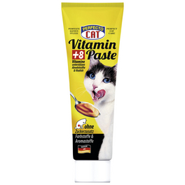 Vitaminpaste für Katzen, 100 g, Fleisch
