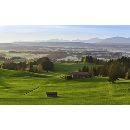Vliestapete »Bayern«, Breite 450 cm, seidenmatt