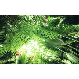Vliestapete »Dschungeldach«, Breite 450 cm, seidenmatt