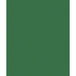 Vliestapete »marburg Basic«, grün, strukturiert