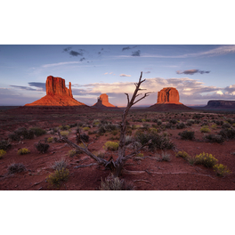 Vliestapete »Wild West Heroes«, Breite 450 cm, seidenmatt