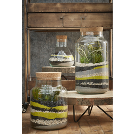 Vorratstopf »Mica Country«, Höhe: 19 cm, transparent, Glas