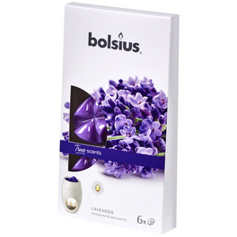 Wachsblume »True Scents«, lila, Duft: Lavendel