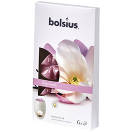 Wachsblume »True Scents«, rosa, Duft: Magnolie