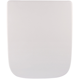 WC-Sitz »Renova Nr. 1 Plan«, Duroplast, oval, mit Softclose-Funktion