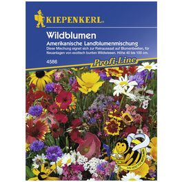 Wildblumen, »Mischung«, Samen, Blüte: mehrfarbig