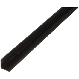 Winkelprofil, BxHxL: 2.5 x 2.5 x 200cm, Stahl