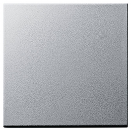 Wippe Wechselschalter/Kreuz/Taster, System 55, Thermoplast, silberfarben