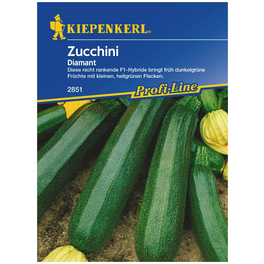 Zucchini »Diamant«, 8 Korn
