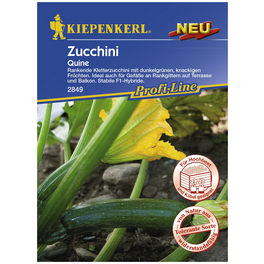 Zucchini pepo Cucurbita
