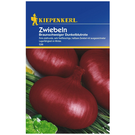 Zwiebel Allium cepa »De Brunswick« Zwiebel Allium cepa »De Brunswick«