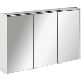 Spiegelschrank »DENVER«, BxHxT: 110 x 68,3 x 16 cm, 6000 K, kaltweiß, 11W