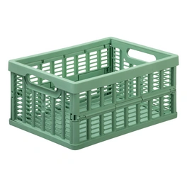 Faltbox, Small, Rosemary Green