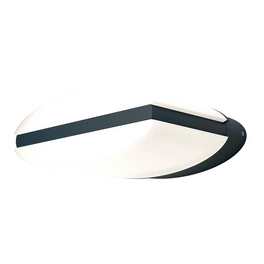 LED-Wand- und Deckenleuchte »ENDURA® STYLE ELLIPSE«, Dunkelgrau, 12,50 W