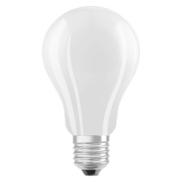 LED-Leuchtmittel »LED Retrofit CLASSIC A«, 17 W, E27, kaltweiß