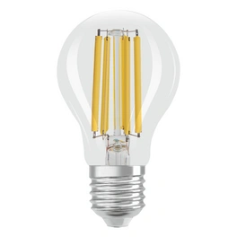 LED-Leuchtmittel »LED LAMPS ENERGY CLASS A ENERGY EFFICIENCY FILAMENT CLASSIC A«