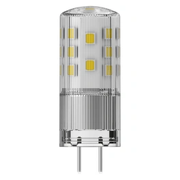 LED-Leuchtmittel »LED PIN 12 V DIM«, 3,8 W, GY6,35, warmweiß