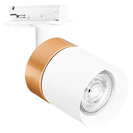 Spotstrahler »TRACKLIGHT SPOT CYLINDER GOLD«, GU10, Reflektor Zylinder, weiß/gold, Stahl