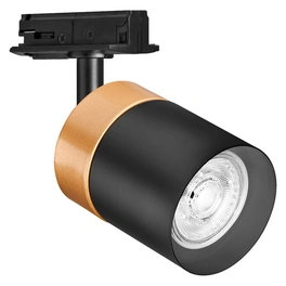 LED-Spotleuchte »Sun@Home Downlights«, GU10, Reflektor Zylinder, schwarz/gold