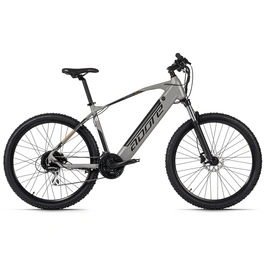 E-Mountainbike »Raccoon«, 24 Gänge, max. 25 km/h, grau