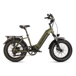 E-Bike »XR1«, 7 Gänge, max. 25 km/h, grün