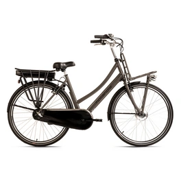 E-Citybike »Carry On«, 3 Gänge, max. 25 km/h, grau