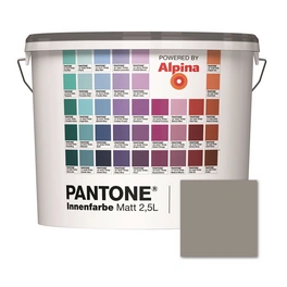 Wandfarbe »Pantone«, Wandfarbe »Pantone«, Innenfarbe Drizzle 2,5 Liter matt