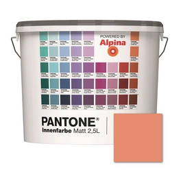 Wandfarbe »Pantone«, Wandfarbe »Pantone«, Innenfarbe Canyon Sunset 2,5 Liter matt