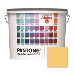 Wandfarbe »Pantone«, Wandfarbe »Pantone«, Innenfarbe Yarrow 2,5 Liter matt