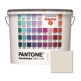 Wandfarbe »Pantone«, Wandfarbe »Pantone«, Innenfarbe Vaporous Gray 2,5 Liter matt