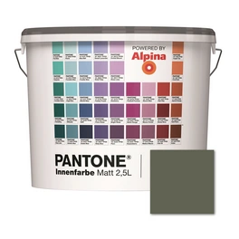 Wandfarbe »Pantone«, Wandfarbe »Pantone«, Innenfarbe Bronze Green 2,5 Liter matt