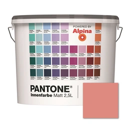 Wandfarbe »Pantone«, Wandfarbe »Pantone«, Innenfarbe Lobster Bisque 2,5 Liter matt