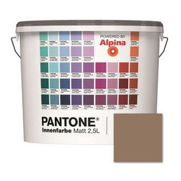 Wandfarbe »Pantone«, Wandfarbe »Pantone«, Innenfarbe Amphora 2,5 Liter matt