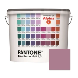 Wandfarbe »Pantone«, Wandfarbe »Pantone«, Innenfarbe Orchid Haze 2,5 Liter matt