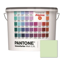 Wandfarbe »Pantone«, Wandfarbe »Pantone«, Innenfarbe Ambrosia 2,5 Liter matt