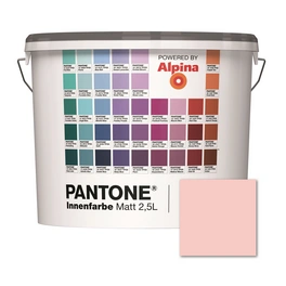 Wandfarbe »Pantone«, Wandfarbe »Pantone«, Innenfarbe Ballet Slipper 2,5 Liter matt