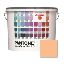 Wandfarbe »Pantone«, Wandfarbe »Pantone«, Innenfarbe Peach Fuzz 2,5 Liter matt