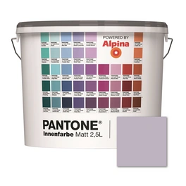 Wandfarbe »Pantone«, Wandfarbe »Pantone«, Innenfarbe Lavender Blue 2,5 Liter matt