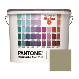 Wandfarbe »Pantone«, Wandfarbe »Pantone«, Innenfarbe Elm 2,5 Liter matt