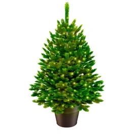 Weihnachtsbaum »Premium Tanne«, im Topf mit LED, 40 cm