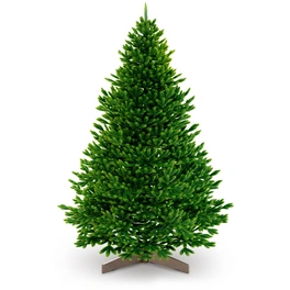 Weihnachtsbaum »Premium Tanne«, mit Holzständer, 120 cm