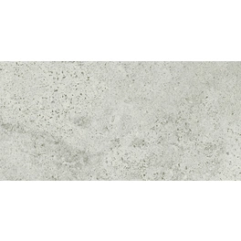 Bodenfliese »Newstone«, rechteckig, 60 x 120 cm, lichtgrau, R 10