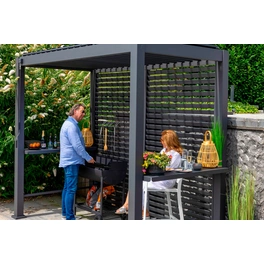 Grillpavillon »Basic 88«, 250x240x150 cm (BxHxT), Aluminium/Stahl, anthrazit