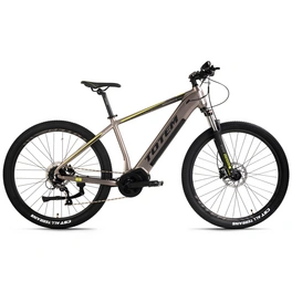 E-Bike Mountainbike »Maurice Pro«, RH: 29 cm, 9-Gang