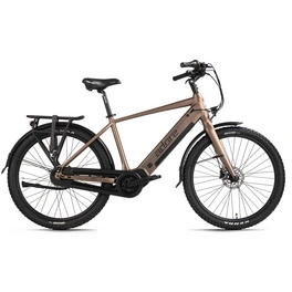 E-Bike City Herren »CX-290«, RH: 27,5 cm, 8-Gang