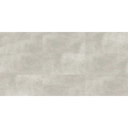 Wandverkleidung »VILO SPC«, BxL: 300 x 600 mm, beige