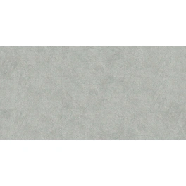 Wandverkleidung »VILO SPC«, BxL: 300 x 600 mm, beige