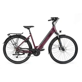 E-Bike, 28 Zoll, RH: 50 cm, 9-Gang, Akku: 522 Wh